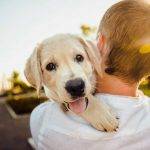 Should I Get A Puppy?  6 Things To Help You Decide!