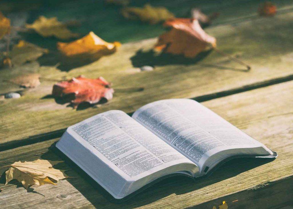 How To Manifest Something By Writing It Down - 7 Easy Steps! 3 Law Of Attraction Bible Quotes
