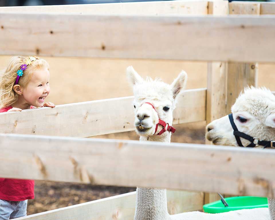 Kids Entertainment For Parties - Mobile Animal Farm