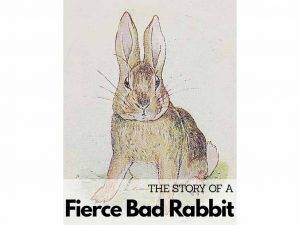 The Story Of A Fierce Bad Rabbit PDF