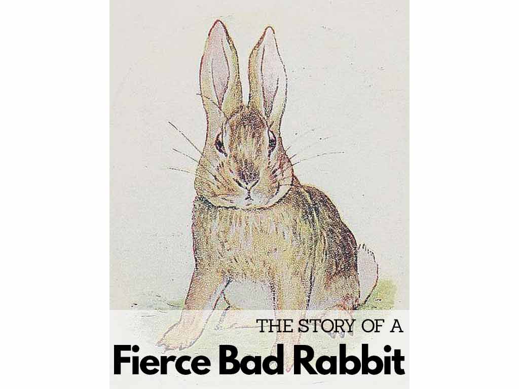 The Story Of A Fierce Bad Rabbit | Free PDF Download
