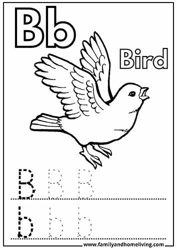 Bird coloring pages for the letter B