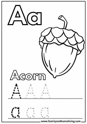 Letter A coloring page - Acorn