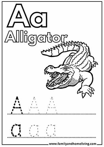 Coloring worksheet for the letter A - Alligator
