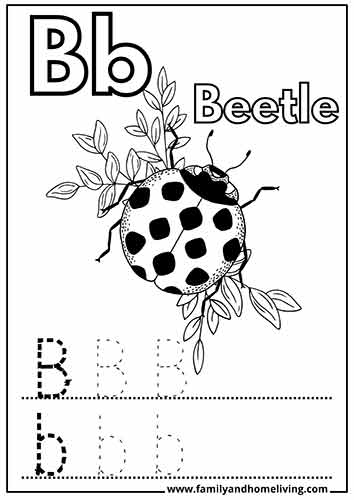 Beetle coloring worksheet to learn the letter B