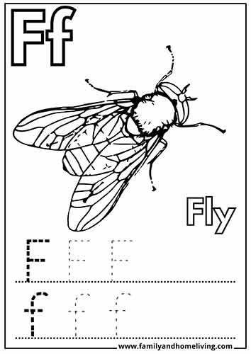 F Letter Coloring Page - Fly