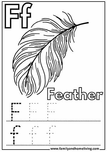 Feather Color and Trace Worksheet for Kids