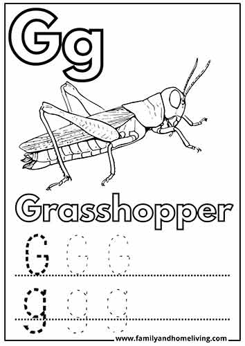 G is for Grasshopper - Letter G coloring sheet