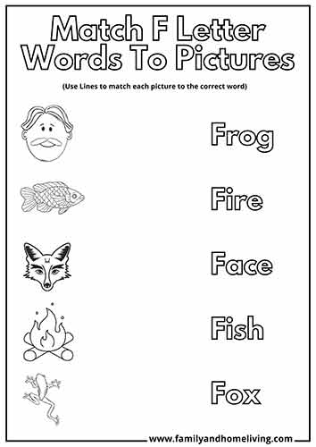 Match the Letter F Word with the Correct Picture