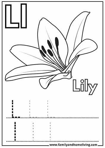 L is for Lily - Coloring worksheet for the Letter L