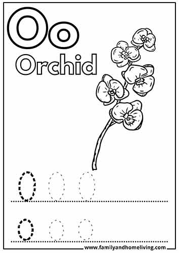 O is for orchid O-letter coloring picture