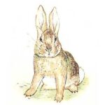 The Story of A Fierce Bad Rabbit PDF Printable