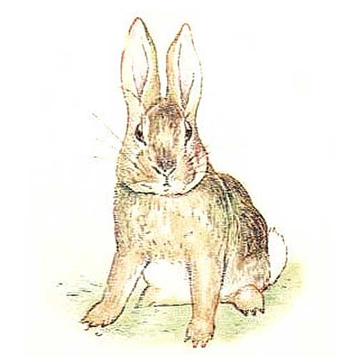 The Story of A Fierce Bad Rabbit PDF Printable