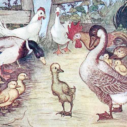 The Ugly Duckling - Hans Christian Anderson 4 The Ugly Duckling Story