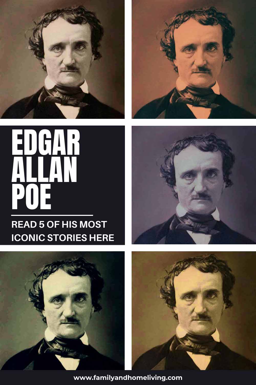 Edgar Allan Poe Poems and Books Pinterest Pin