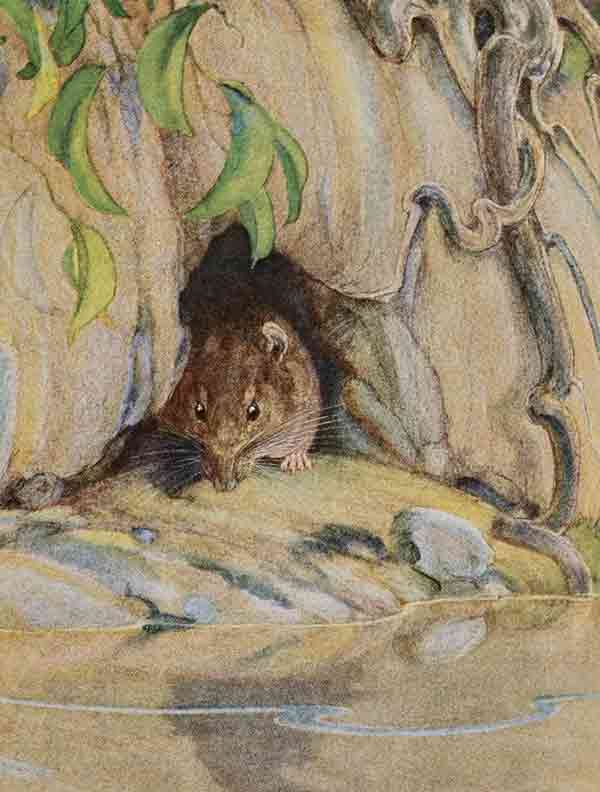 My Top 5 Favorite Classic Children's Books: Must-Reads For Kids Of All Ages 3 The Wind In The Willows Book Illustration