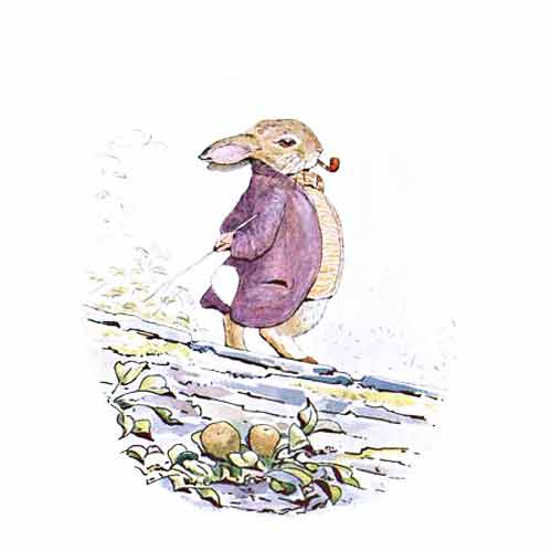 Benjamin Bunny standing on a wall