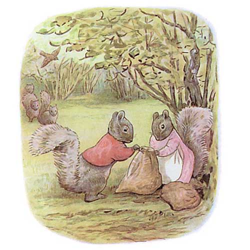 The Tale of Timmy Tiptoes Beatrix Potter PDF