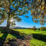 Header image for business ideas for rural areas and small towns
