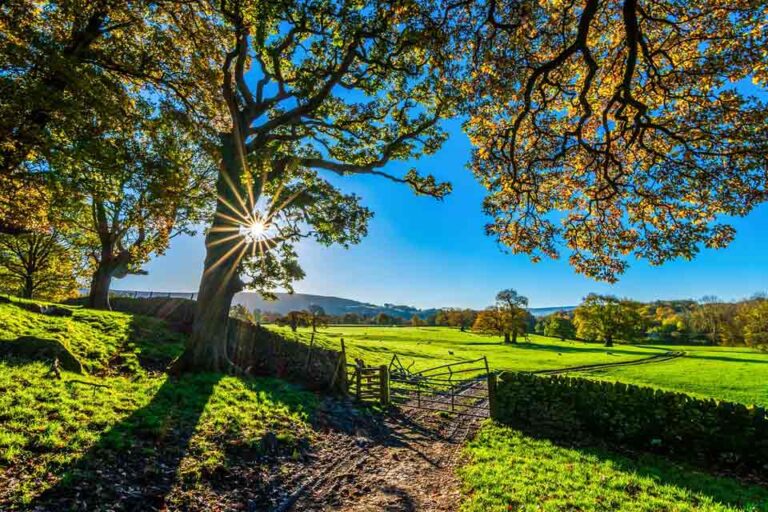 Header image for business ideas for rural areas and small towns