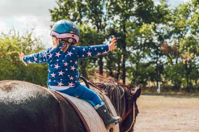27+ Rural Business Ideas For Small Towns And Farms 6 Horse riding lessons business idea