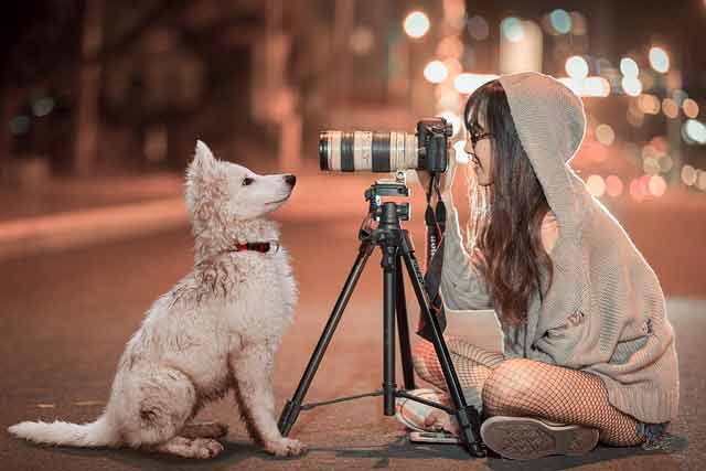 21 Pawsome Small Business Ideas For People Who Love Dogs & Pets 4 Photographer taking a picture of a dog